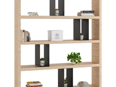 Flexform Bookshelf Braidense 3D model