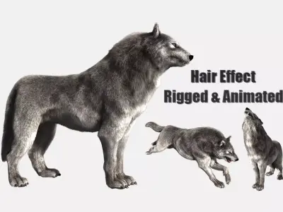 wolf wild dog husky beast howl hair Low-poly 3D model