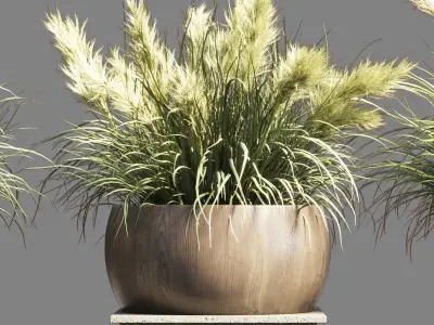 outdoor indoor pot palnt grass the dry pampas stand vase wooden 3D model