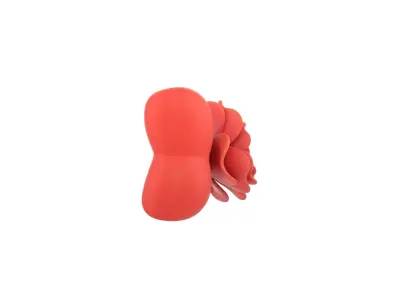 Flower Bow 3D model