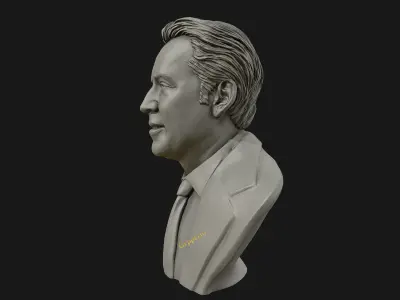 Nicolas Cage 3D printable portrait model 3D print model
