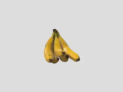 Realistic 3D Banana Model Game  Animation Ready Low-poly 3D model