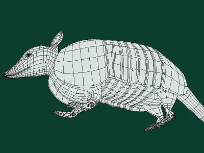 Armadillos Animal Low-poly 3D model