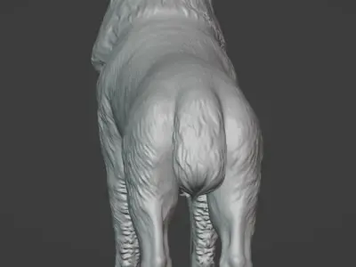Kangal 3D model
