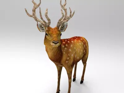 Game Ready Deer Rigged Low-poly 3D model