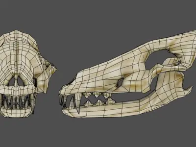 Skull Wolf Low and Hig Poly Pack Low-poly 3D model
