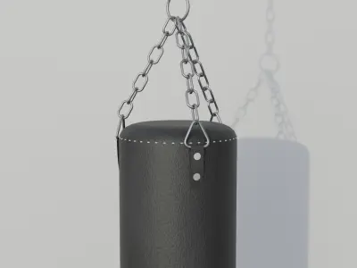 Punch Bag 3D model