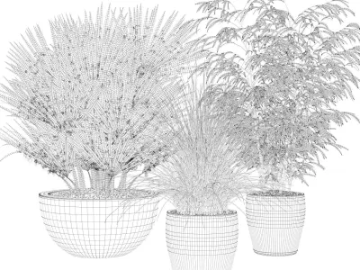 Plants collection 080 3D model