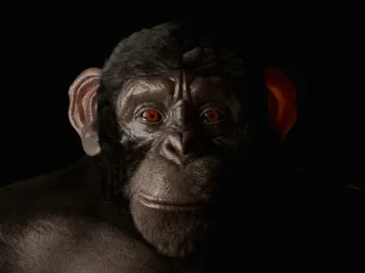Realistic Ape  Rigged 3D Character For Blender Low-poly 3D model