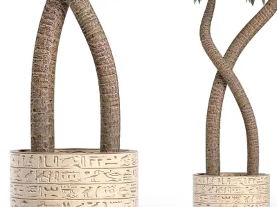 Plants Collection 160 Egyptian Plants 3D model