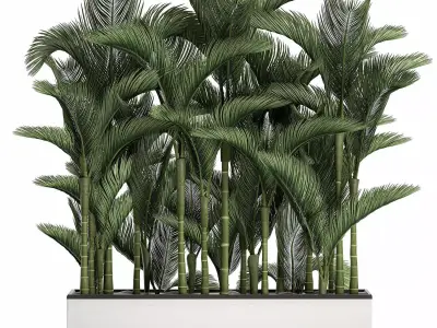 Palm in a white pot for the interior 671 3D model