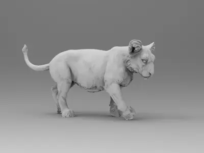 baby lion 3D model