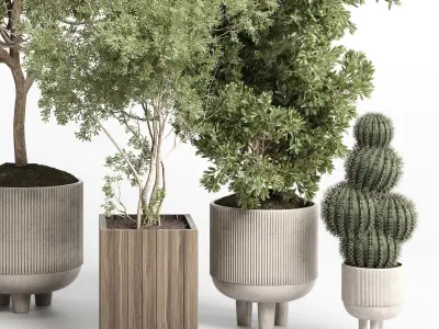 Collection indoor outdoor plant 405 plant tree  Low-poly 3D model