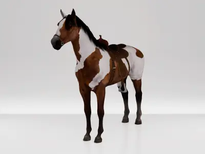 Horse Spanish Mustang  - Stallion Game Ready Low-poly 3D model