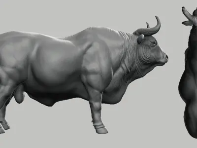 Bull model 3D model