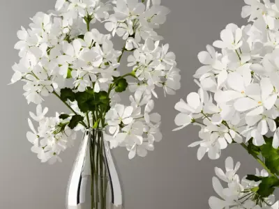 Geranium in vase 3D model
