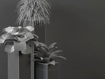 indoor plant 05 3D model