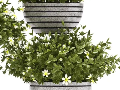 plants set 68 3D model