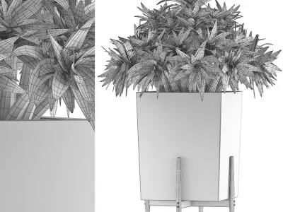 Plants Collection 74 3D model