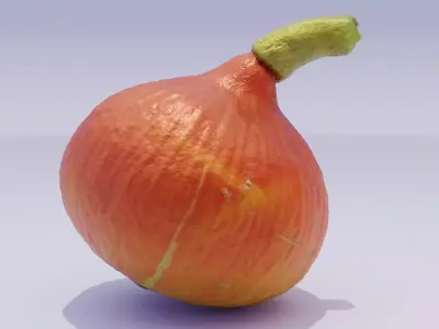 Ultra-realistic pumpkin high-poly 3D model