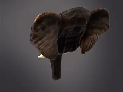 Elephant head wall decor 3D print model