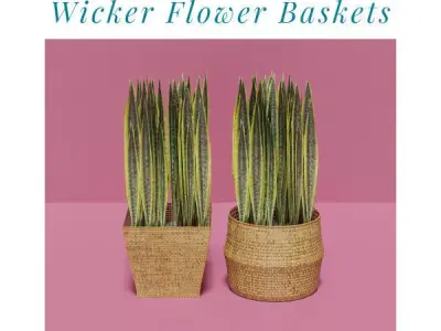 Wicker Flower Baskets Set 3D model