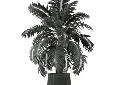 Plants collection 219 3D model