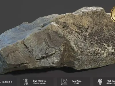 Mountain Rock Scan A Free low-poly 3D model
