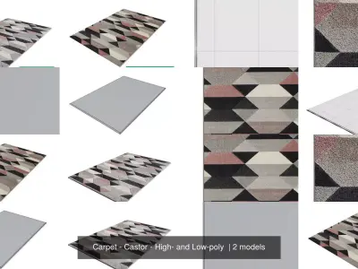 Carpet - Castor - High- and Low-poly  3D Model Pack