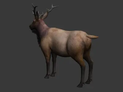 ELK  deer 3D model Low-poly 3D model