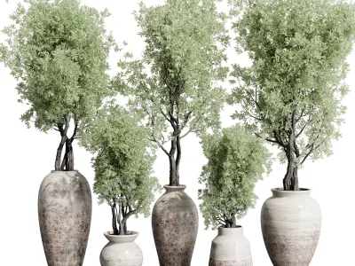 Olive tree in an old earthenware vase outdoor plant set 142 Low-poly 3D model