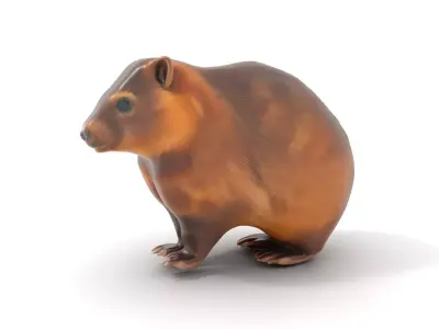 Fuzzy Wombat Critter model pack Low-poly 3D model