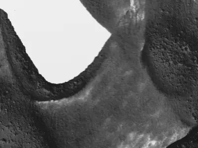 GS -603 Painting for printing 3D model