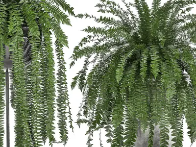 Decorative Fern in a white flowerpot 517 3D model