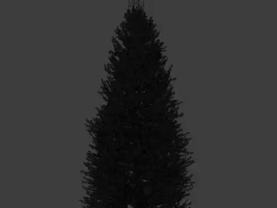 Christmas Tree 3D model