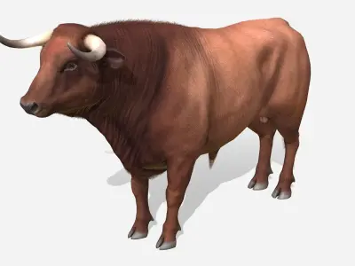 Bull realistic Low-poly 3D model