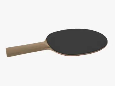 Ping Pong Paddle 3D model