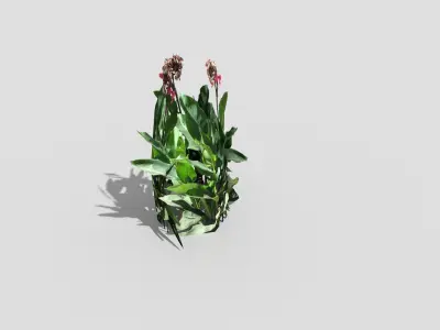 Low poly Plant Low-poly 3D model