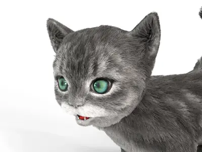 Fur Cute Gray Cat Kitten Animated Low-poly 3D model