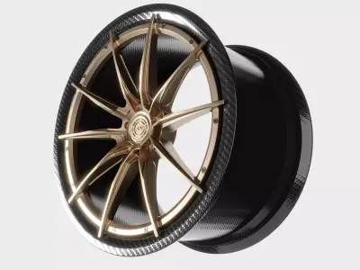 CF-R10 DYMAG 3D model