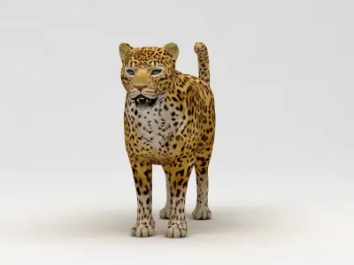 Leopard 3D model shop