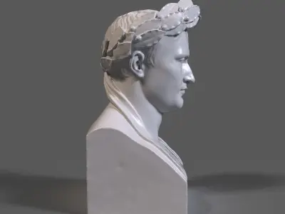 Napoleon Bust 3D print model