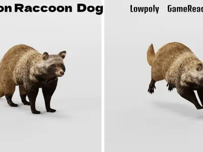 Common Raccoon Dog Animal Low-poly 3D model