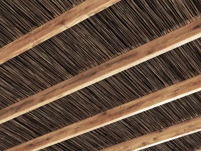 Ceiling canopy thin branch 3D model