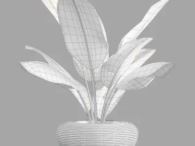 qeeboo nami planter 3D model