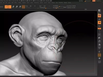 male monkey 3D model