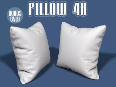 Pillow 48 3D model