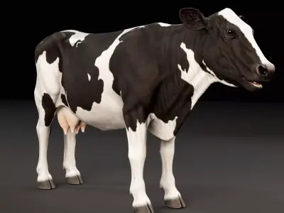 Cow - Animal  Low-poly 3D model