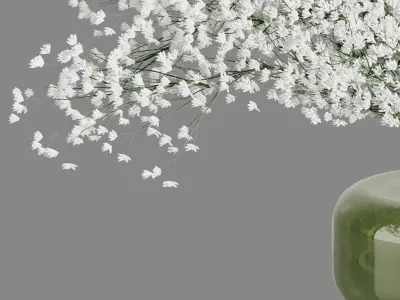 Baby Breath Bouquet24 3D model
