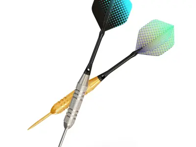Two Dart Needles 3D model